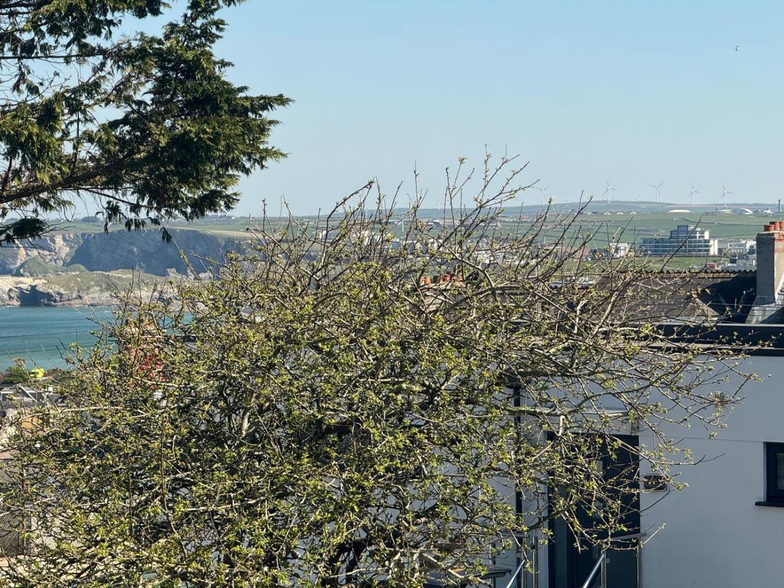 Shore Lodge New Quay Εξωτερικό φωτογραφία